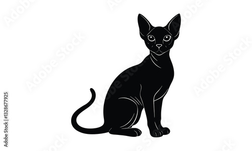 Sphynx Cat Sits Facing Forward