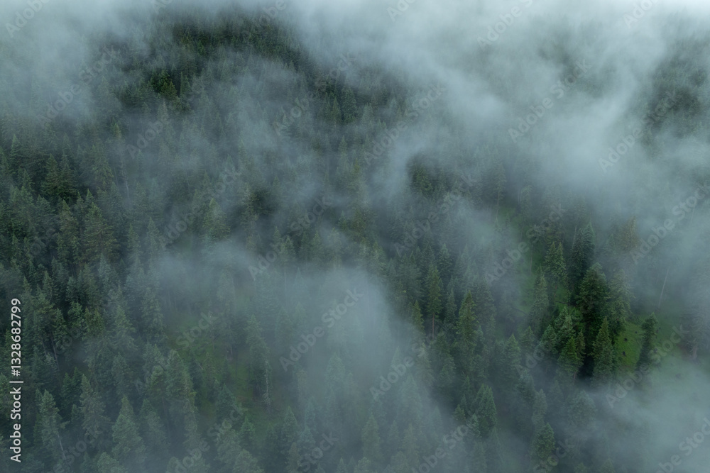 Aerial view of forest landscape in fog and rain Aerial view of forest landscape in fog and rain