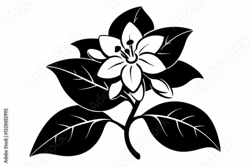 jasmine flower line art silhouette vector illustration