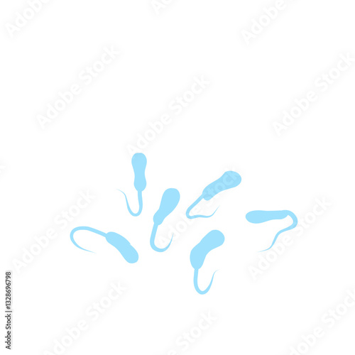 Vibrio Cholerae Bacteria 