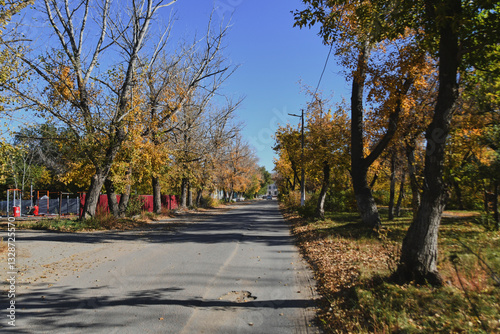 Autumn landscape of a small town. Village houses and roads covered with orange foliage