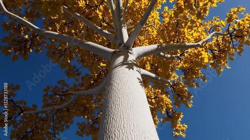 The Majestic Yellow Autumn Tree