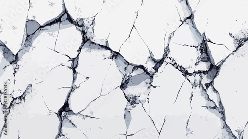Close-up shot of a cracked surface. The image is predominantly white with a network of grey cracks creating a fragmented pattern. The cracks vary in width and depth, with some appearing more