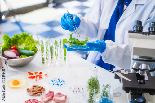 Middle-aged female laboratory worker wearing blue gloves conducts lab test on food ingredients lettuce, cucumber, pork. Using microscope, she analyzes nutrients, preservatives, food safety records.