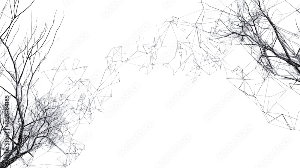 Fototapeta premium The image features a high-contrast, monochrome representation of bare tree branches set against a pure white background. The branches are predominantly dark gray to black, creating a stark