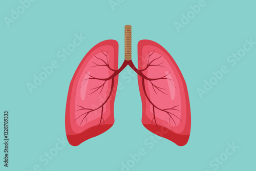 Healthy human lungs medical illustration on a green background