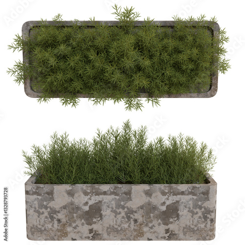 Rustic planter box with greenery, overhead view