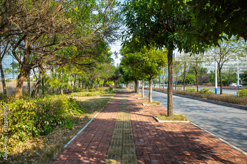 A well-maintained urban pathway with brick and tactile paving running parallel to an urban road, both lined with trees that provide shade and featuring a separated bike lane divided by a natural strip