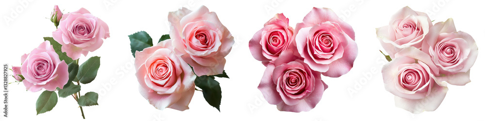 A stunning arrangement of delicate soft pink roses in full bloom exuding a romantic and feminine charm A stunning arrangement of delicate soft pink roses in full bloom exuding a romantic and feminine charm