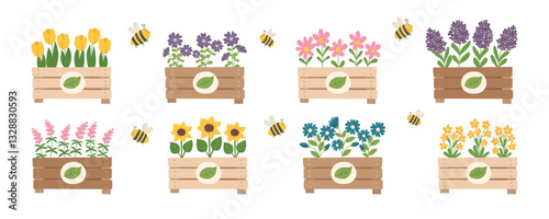 Wooden garden boxes with different flowers isolated on white background. Spring and gardening concept cliparts. Vector hand drawn background.
