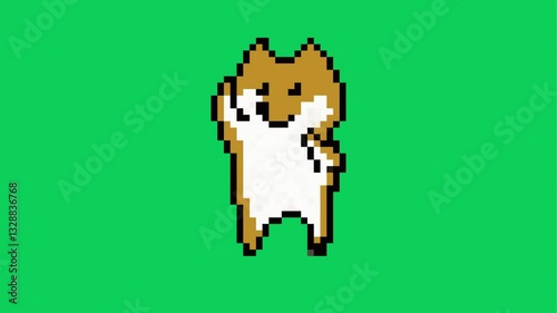 cute dancing shiba inu dog meme pixel animation on green and white screen
