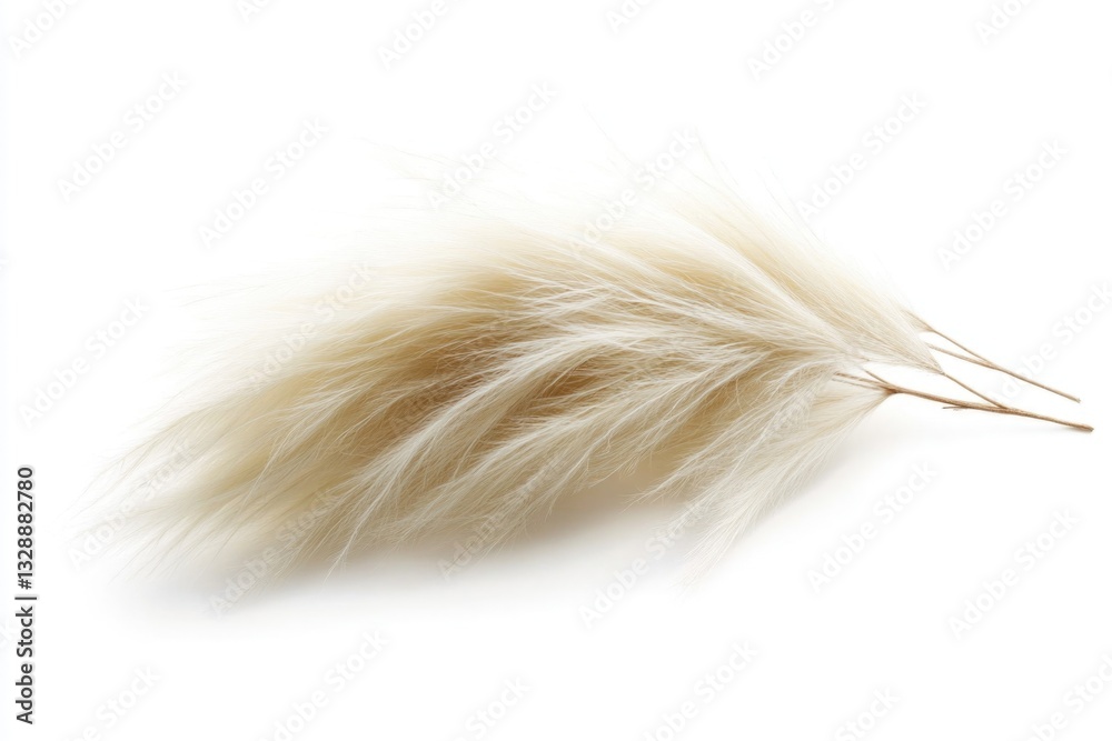 Close-up shot of a single feather on a white surface, great for beauty, fashion or nature-themed designs Close-up shot of a single feather on a white surface, great for beauty, fashion or nature-themed designs
