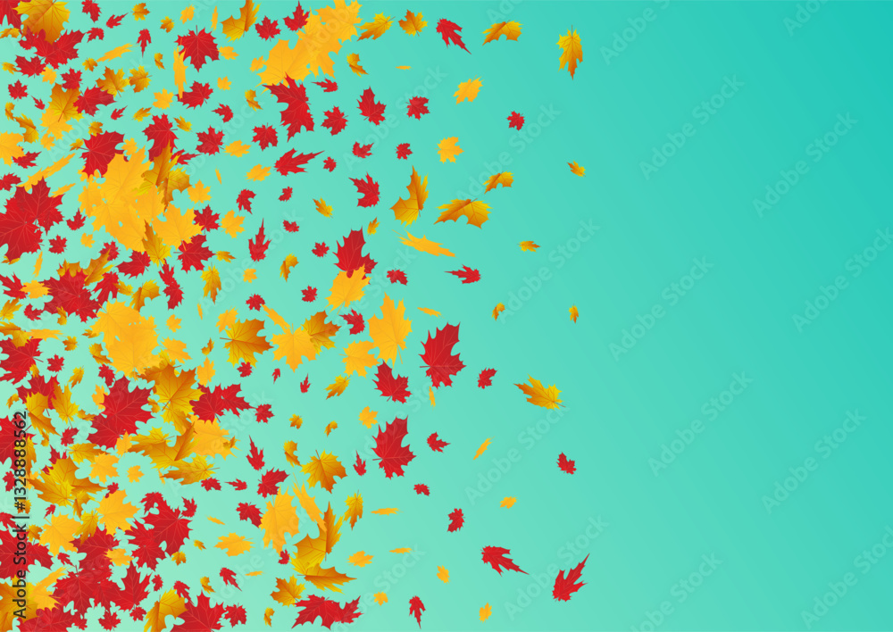 nevvconfetti nevvconfetti