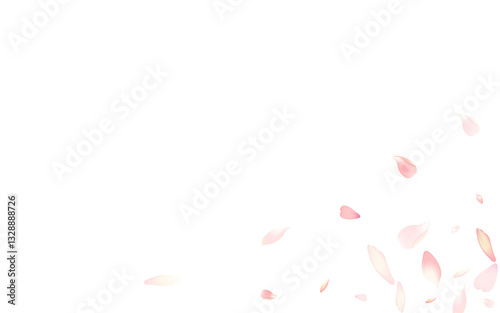 Pastel Flower Petal Vector White Background. Pink