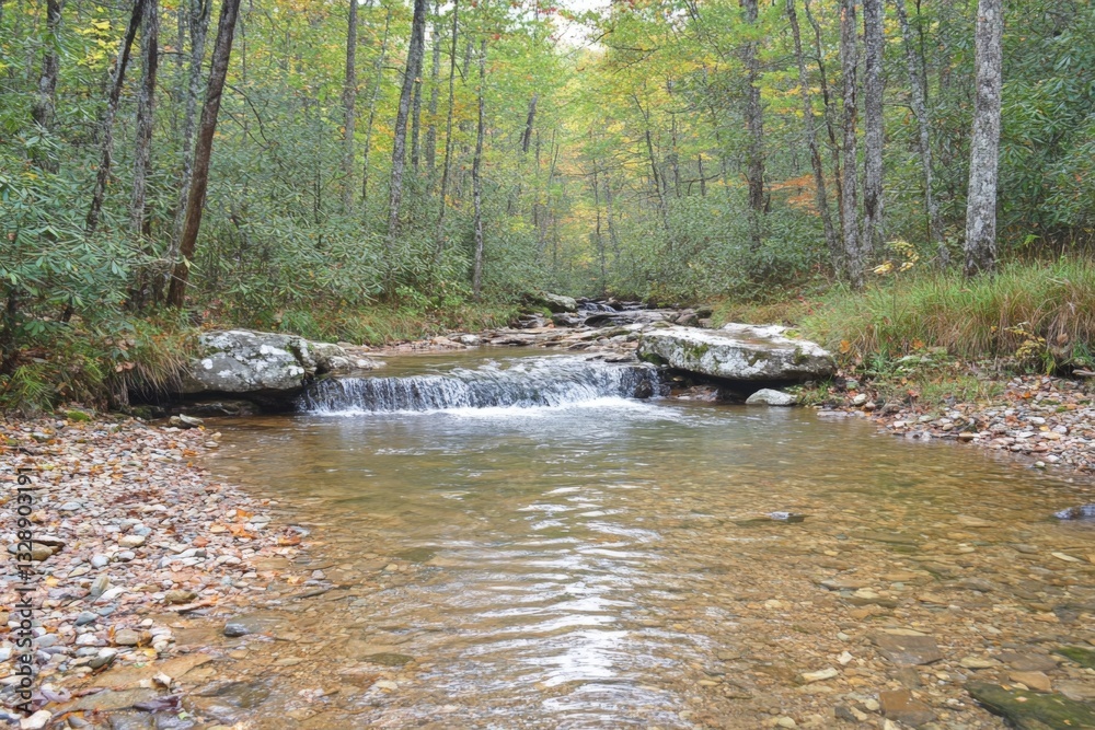 Serene forest stream flows quietly under autumn foliage in a tranquil natural setting Serene forest stream flows quietly under autumn foliage in a tranquil natural setting