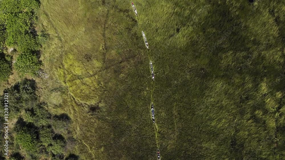 Canoes going through the Okavango Delta