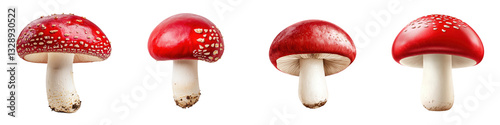 A collection of various red mushrooms with spotted caps and white stems arranged in a natural composition against a plain white backdrop