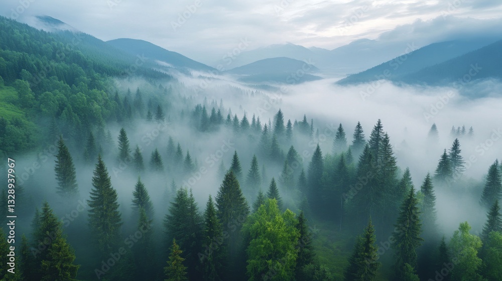 Obraz premium A misty forest and mountain landscape with a foggy morning sky.