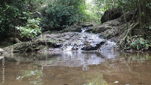Water flowing in a stream in one of the natural parks of Phuket in Thailand