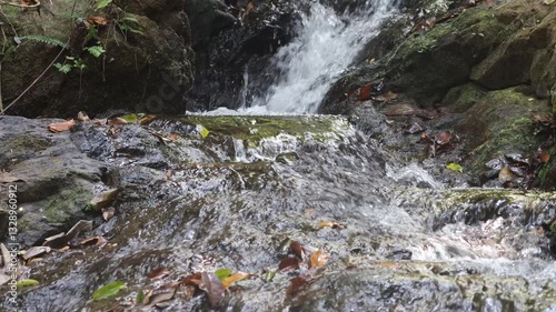 Water flowing in a stream in one of the natural parks of Phuket in Thailand