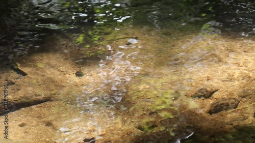 Ripples on the water in a stream in one of the parks in Phuket, Thailand