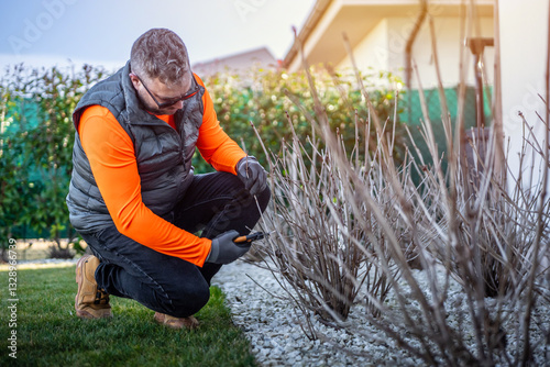 Garden work of spring. Man dressed in reflective workwear prunes and cuts dry perennials in the garden with shears or secateurs in spring. A gardener cuts dry hydrangeas with scissors. Spring cut.