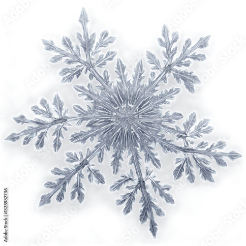 Snowflake uniting earth and sky