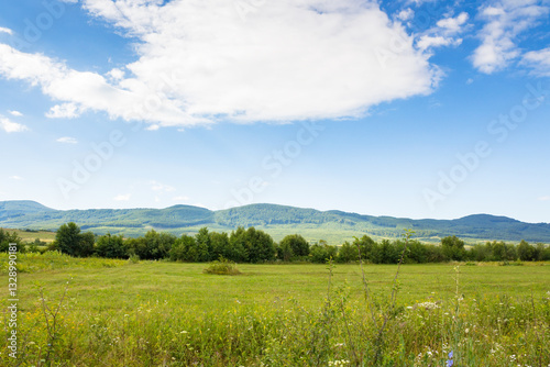 Obraz na płótnie countryside landscape with field near the hill. beautiful nature of ukraine in summer. blue sky with clouds w salonie