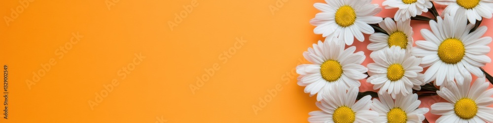 Obraz premium Vibrant Minimalist Botanical Scene Soft White Daisy Arrangement on Sunny Orange Background - Contemporary Wellness and Design for Lifestyle Branding