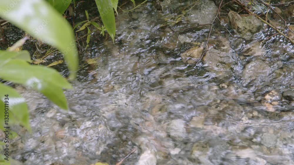 流れる湧水 流れる湧水