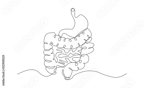 Continuous single line of intestine bowel colon human biology internal organ medical sketch drawing editable stroke vector illustration