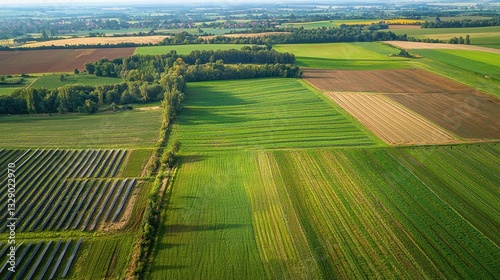 Agricultural Field with Wildlife Corridor