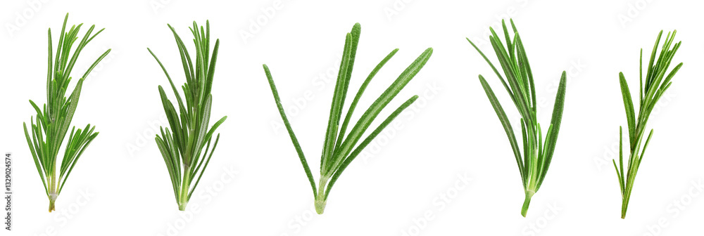 Naklejka premium Fresh green rosemary isolated on white, set