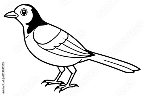 bird line art silhouette vector illustration