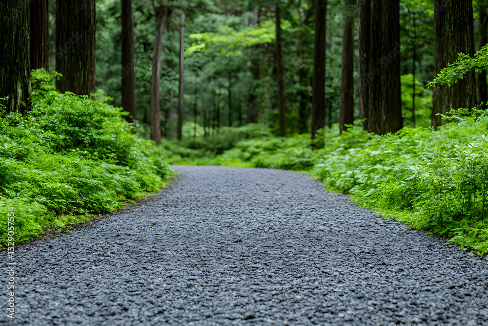 Fototapeta premium Serene gravel path through lush green forest
