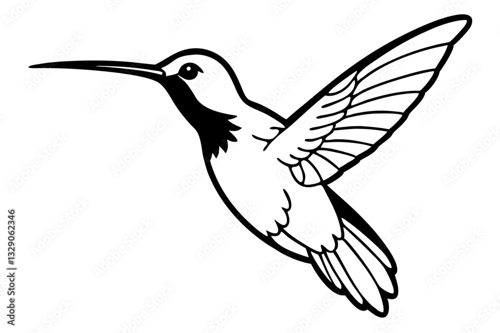 hummingbird line art silhouette vector illustration hummingbird line art silhouette vector illustration