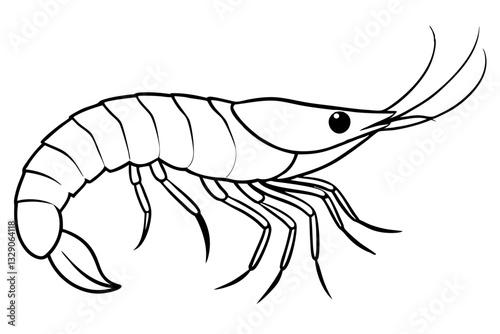 shrimp line art silhouette vector illustration