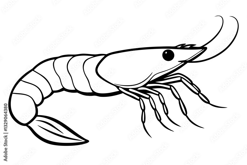 Fototapeta premium shrimp line art silhouette vector illustration