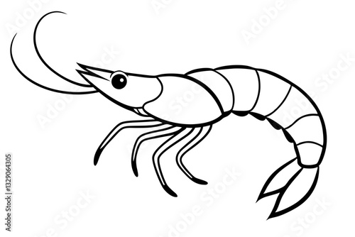 shrimp line art silhouette vector illustration