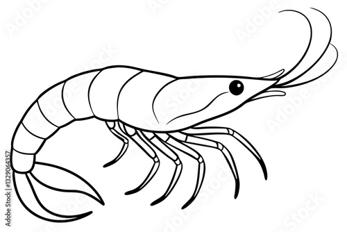 shrimp line art silhouette vector illustration