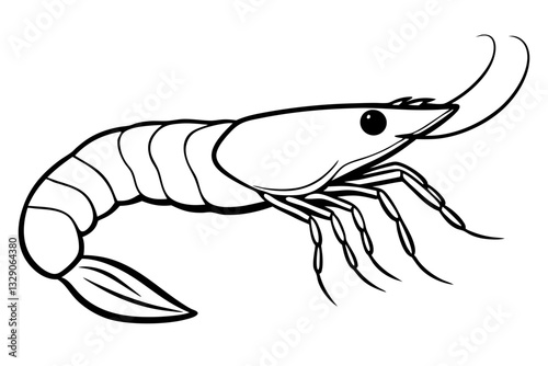 shrimp line art silhouette vector illustration