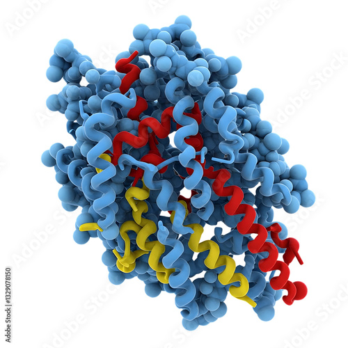 3D Protein Structure Molecular Model On Transparent Background

