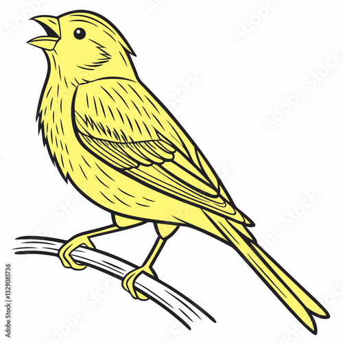 vector illustration of a bird