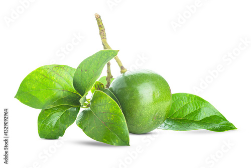 Fresh Avocado with leaf isolated on white background