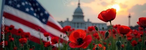 Memorial Day Concept. A national holiday in the United States, observed on the last Monday in May. A memorial poppy flower on the American flag in honor of Memorial Day and Veterans Day in the United 