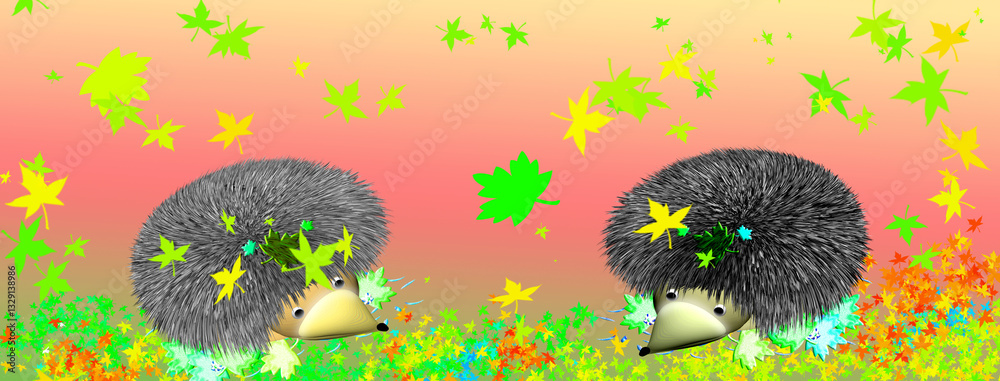 Two funny hedgehogs