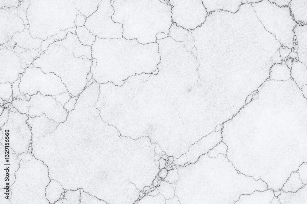 Fototapeta premium black and white marble background with a rough texture