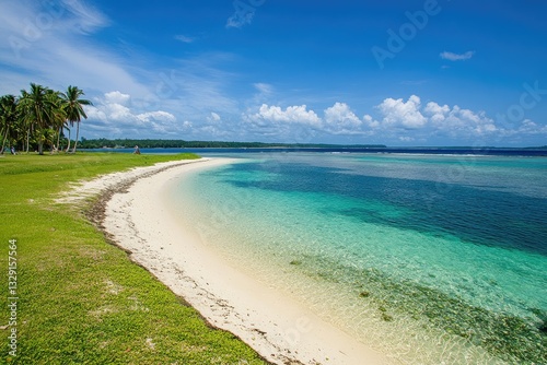 Pristine tropical beach paradise.  Tranquil turquoise waters meet a soft white sand shore, fringed by lush green grass and swaying palm trees under a vibrant blue sky photo