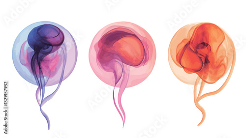 The image depicts three abstract representations of embryonic forms. Each form is enclosed within a translucent, circular sphere and features a color gradient. The first is predominantly purple and