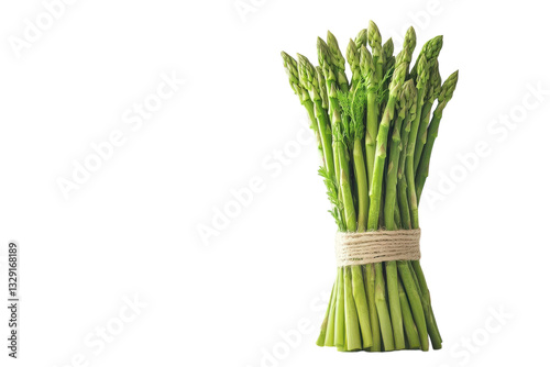 A Vibrant Bunch Of Fresh Asparagus, Tied With Twine, Ready For A Delicious Meal, Showcasing Its Bright Green Spears Against A Clean Isolated on Transparent Background